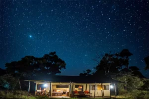 lemala-mara-tented-camp-exterior-night