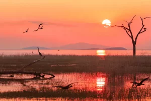 Lake Kariba, Zimbabwe