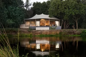 Sausage Tree luxury-suite, Zambia
