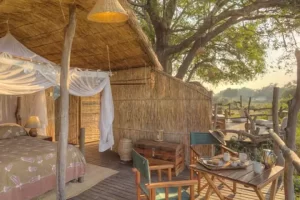 Flatdogs treehouse_master_bedroom, Zambia