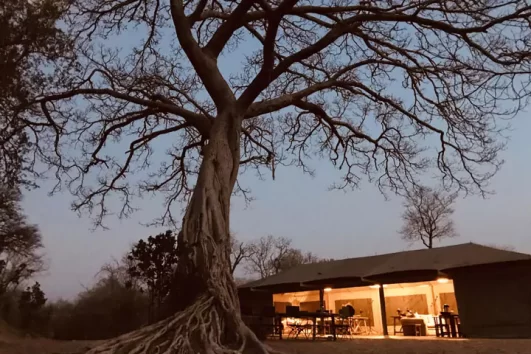 Ingwe Pan Camp dusk, Zimbabwe