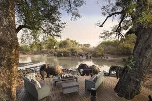 Kanga Camp game viewing, Zimbabwe