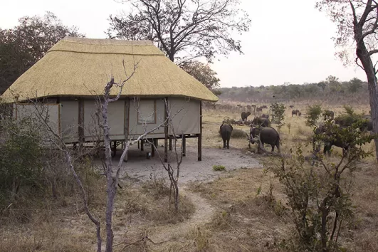 Khulu Bush Camp View, Zimbabwe